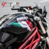 Ducati Monster Italia Wings
