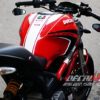 Ducati Monster Racing 2